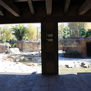 Land of the Tiger - Babirusa/Asian Small Clawed Otters Exhibit