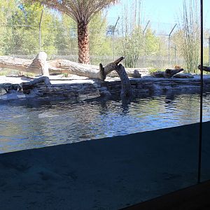 Land of the Tiger - Tiger Exhibit #1