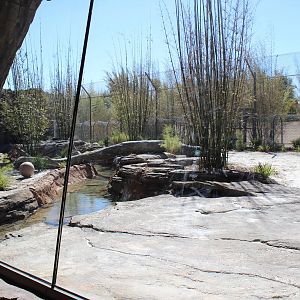 Land of the Tiger - Tiger Exhibit #2