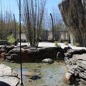 Land of the Tiger - Tiger Exhibit #2