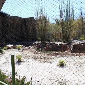 Land of the Tiger - Tiger Exhibit #2