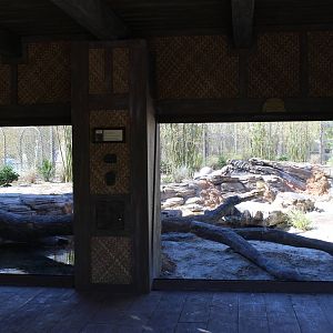 Land of the Tiger - Tiger Exhibit #2