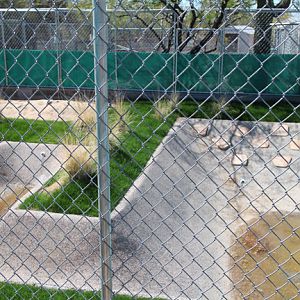 newly built crocodile yard