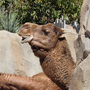 Smile for the camera!