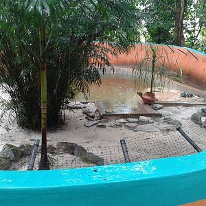 Turtle enclosure