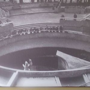 Historical Polar Bear Posters