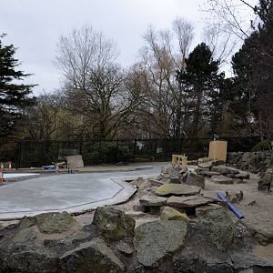 Meerkat Enclosure Progress