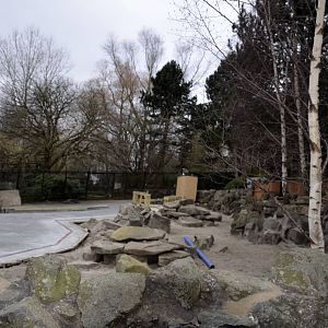 Meerkat Enclosure Progress