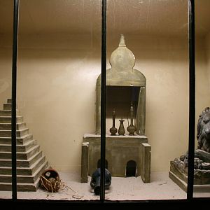 second Egyptian spiny mouse exhibit