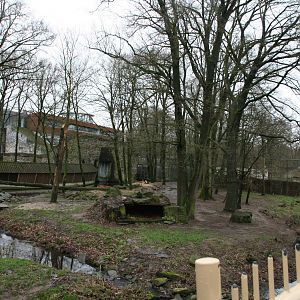 Siberian tiger exhibit