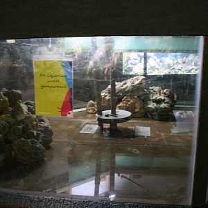 Aquarium under construction