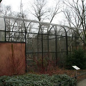 Parrot aviary