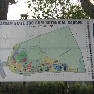 zoo map signboard (with rhesus macaque)