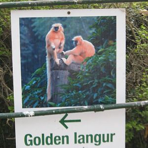 the first sign inside the zoo!