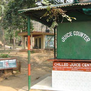 chilled juice stand (closed)