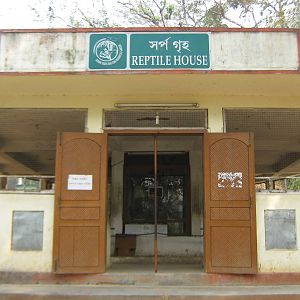 Reptile House