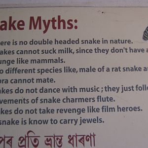 snake signage in the Reptile House