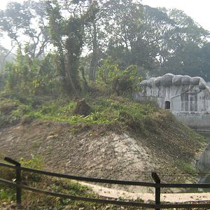 island for hanuman langurs