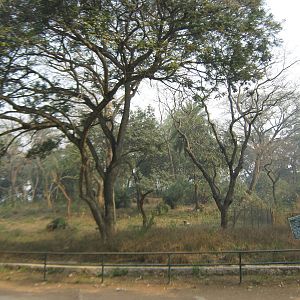 enclosure for blackbuck (Antilope cervicapra)