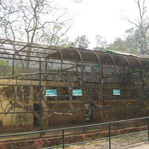 aviary for Psittacula parrots