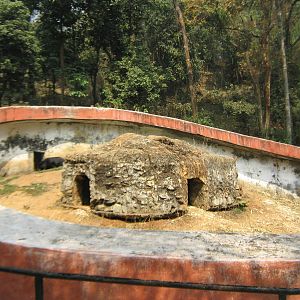 pit-style enclosure for Asiatic black bears