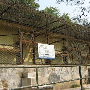 cages for leopard cats
