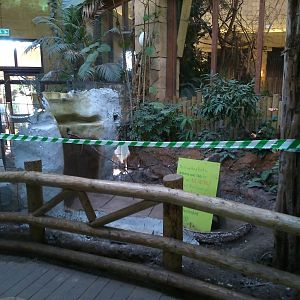 Leaf-Cutter Ant exhibit construction 16/03/14