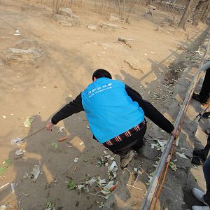 Volunteer picking out the trash from the zebra enclosure