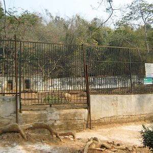nilgai enclosure