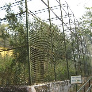 aviaries