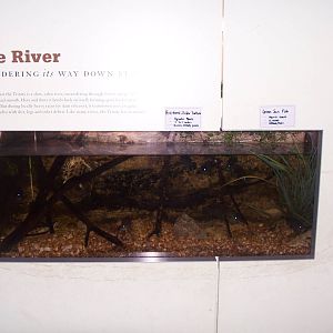 Trinity River Audubon Center - Indoor River Aquarium