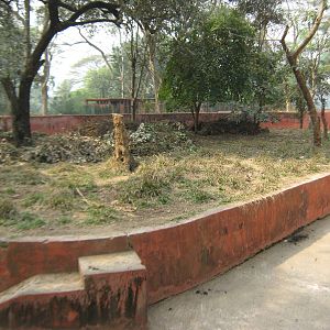 former binturong enclosure