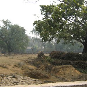 paddock for Indian rhino and axis deer