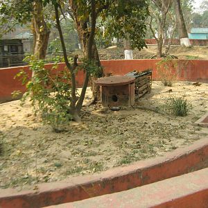 enclosure for Small Indian Mongooses (Herpestes auropunctatus)