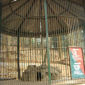 cage for Indian crested porcupine (Hystrix indica)