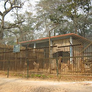 cages for striped hyaena and golden jackal