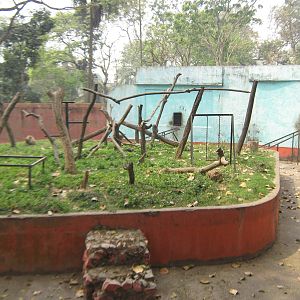 island for stump-tailed macaques (Macaca arctoides)