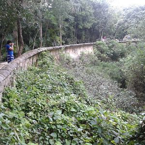 View in the dry moat of the jauar enclosure