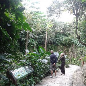 Inside the butterfly hall