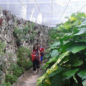 Inside the butterfly hall