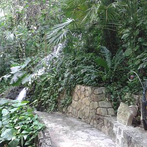 Waterfall in the butterfly hall
