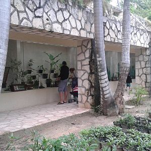 Caterpillar raising room