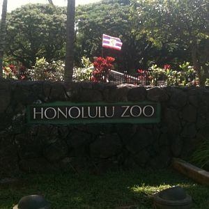 Honolulu Zoo