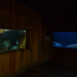 North Sea aquaria