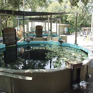 Manatee Hospital at Lowry Park, 13/10/13