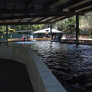 Ray Touch Pool at Lowry Park, 13/10/13