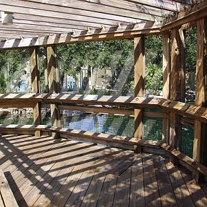 Upper Manatee Viewing Deck at Lowry Park, 13/10/13