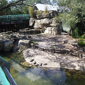 Mixed Exhibit at Lowry Park, 13/10/13