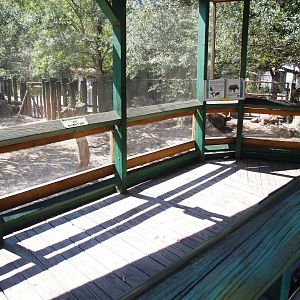 Indian Rhino Viewing at Lowry Park, 13/10/13