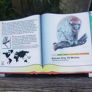 Signage Example at Lowry Park, 13/10/13